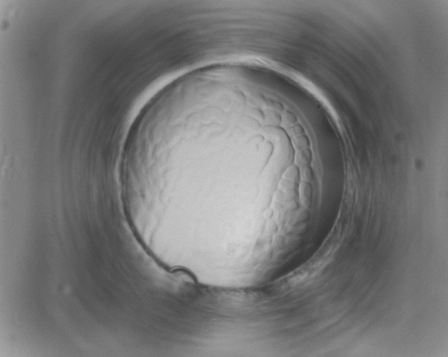 X0000084010959200703022028