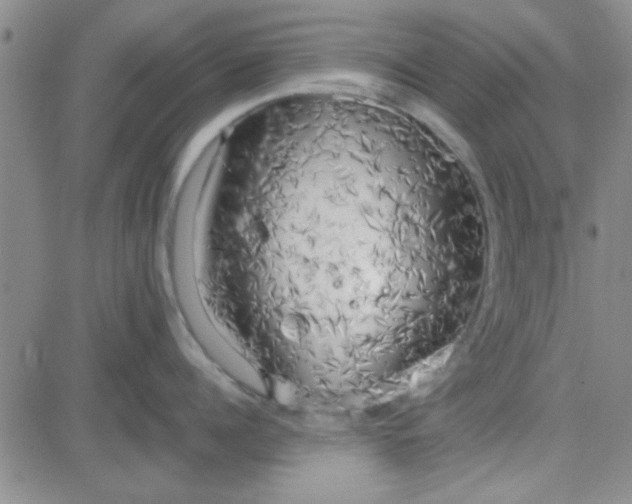 X0000084010960200703022028