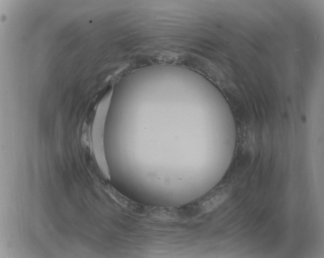 X0000084010962200703022027