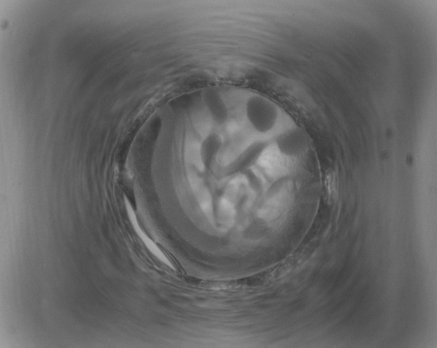 X0000084010963200703022027