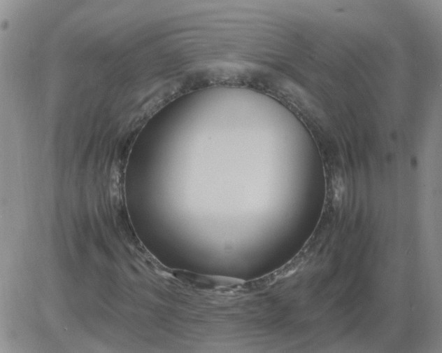 X0000084010964200703022027