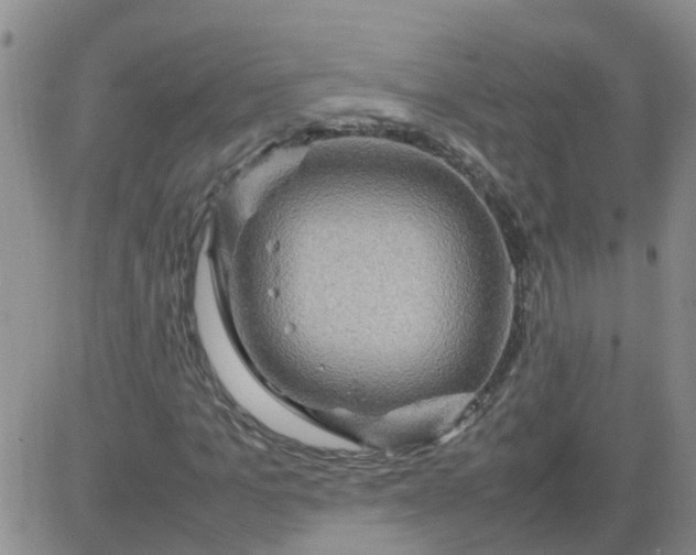 X0000084010965200703022027