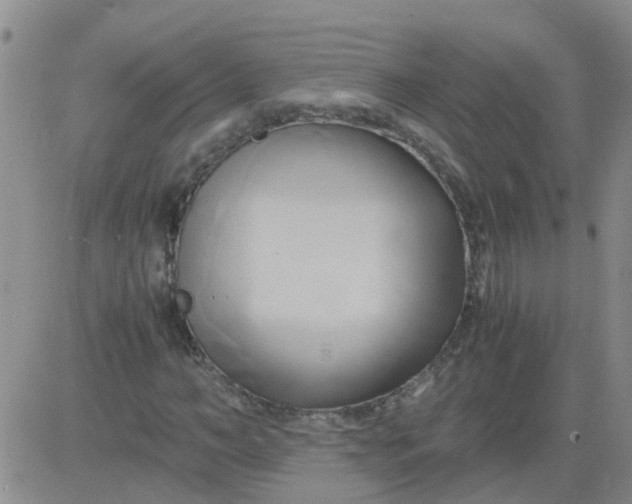 X0000084010966200703022027