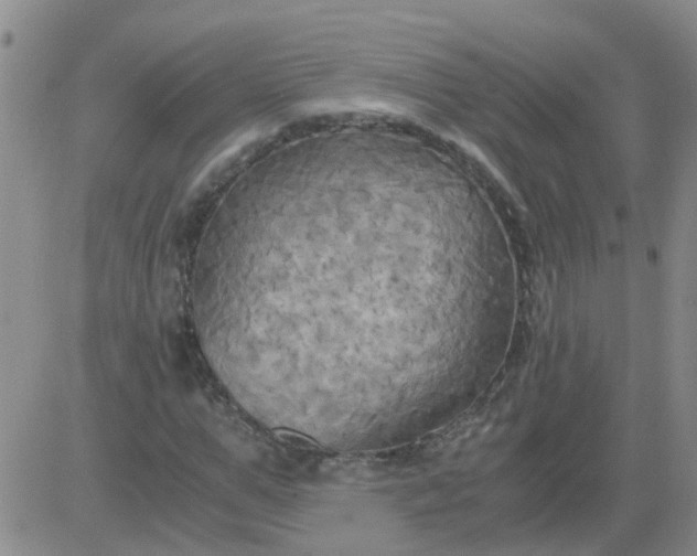 X0000084010967200703022027