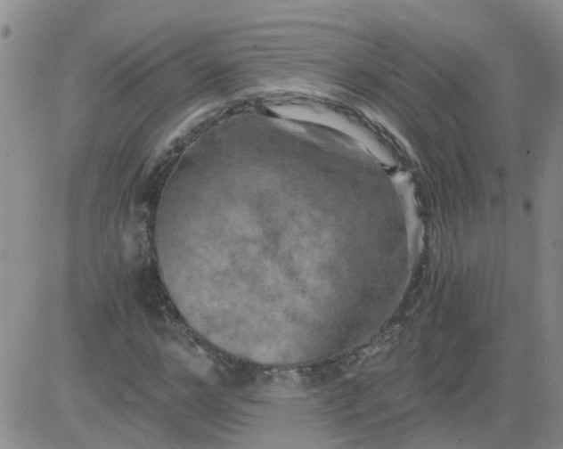 X0000084010968200703022027