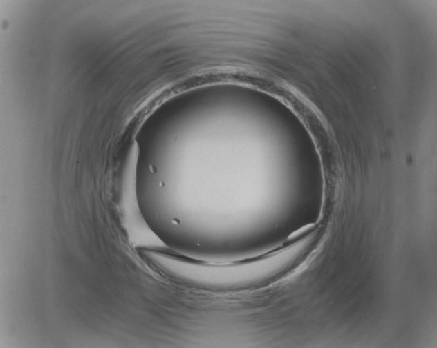 X0000084010969200703022027