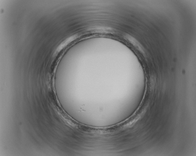 X0000084010970200703022027