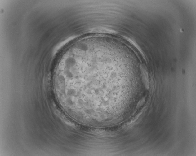 X0000084010971200703022027