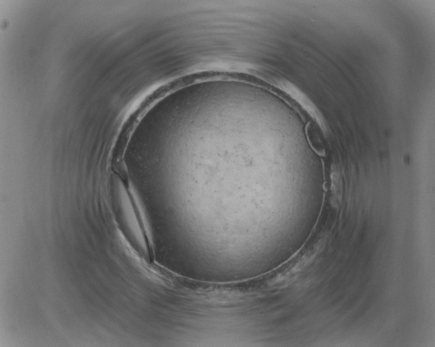 X0000084010972200703022027