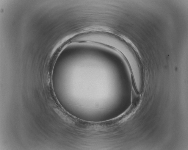 X0000084010973200703022027