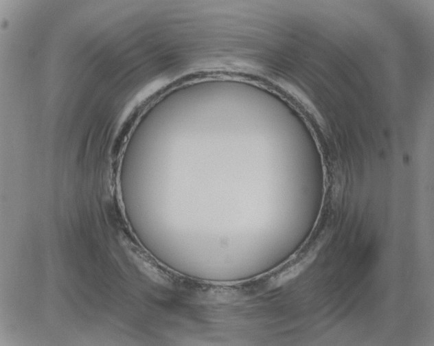 X0000084010974200703022027