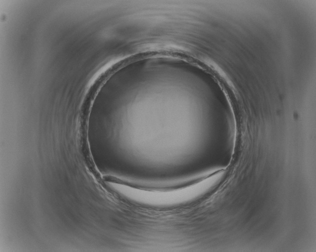 X0000084010975200703022027