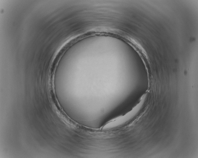 X0000084010976200703022027