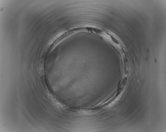 X0000084010977200703022027