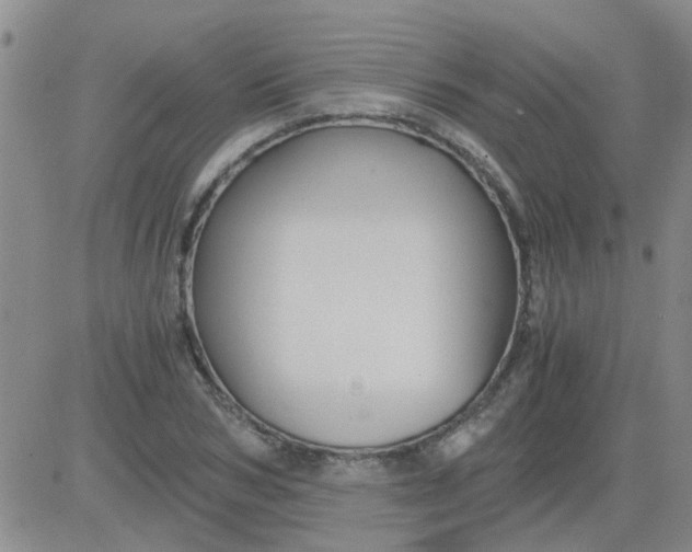 X0000084010978200703022027