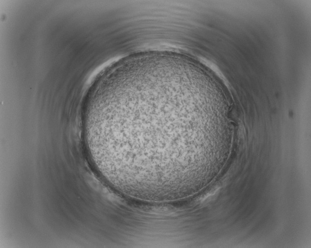 X0000084010979200703022027