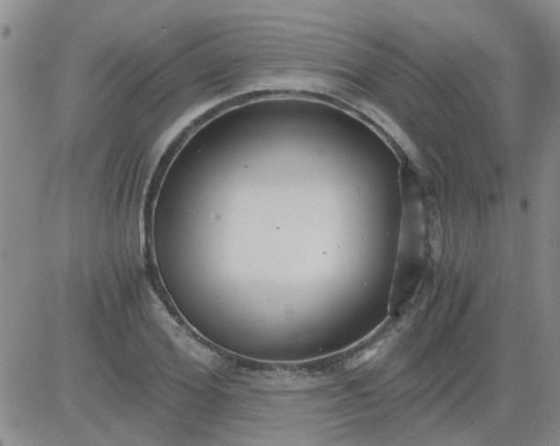 X0000084010980200703022027