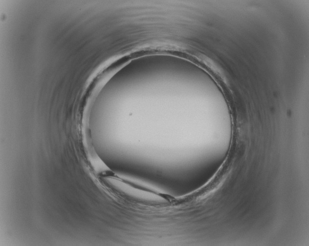 X0000084010981200703022027