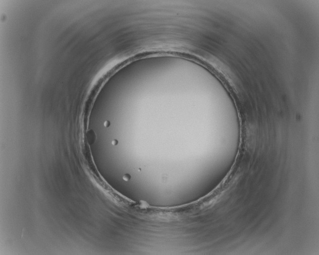 X0000084010982200703022027