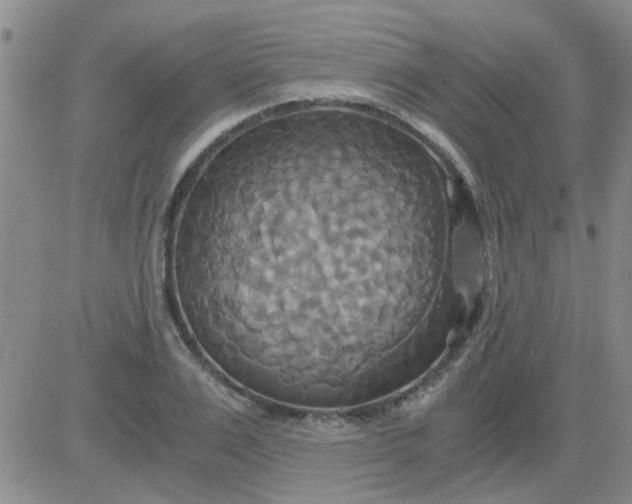 X0000084010983200703022027