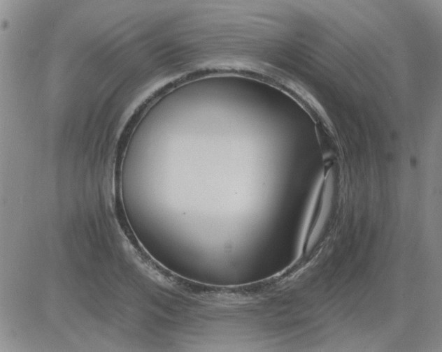 X0000084010984200703022027