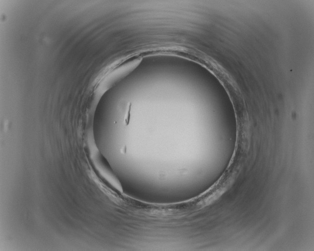 X0000084010985200703022027