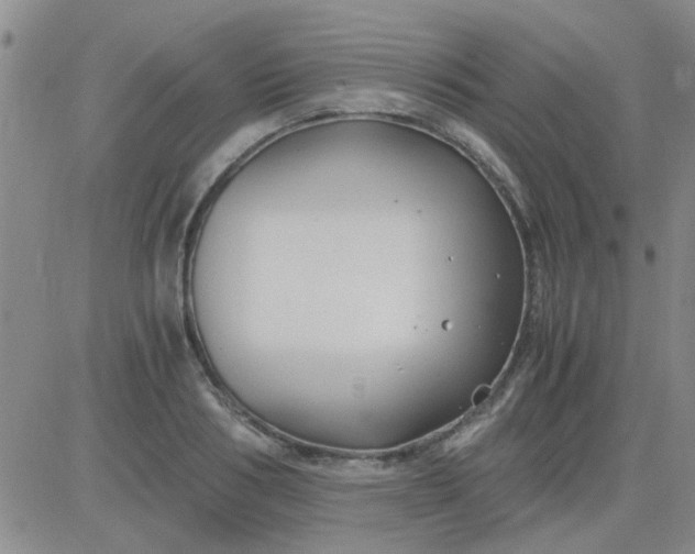 X0000084010986200703022027