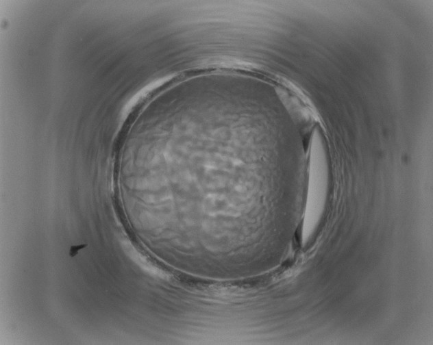 X0000084010987200703022027