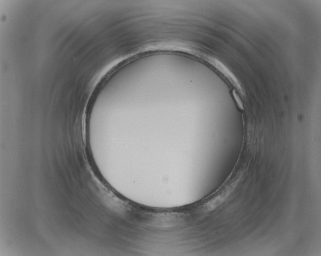 X0000084010988200703022026