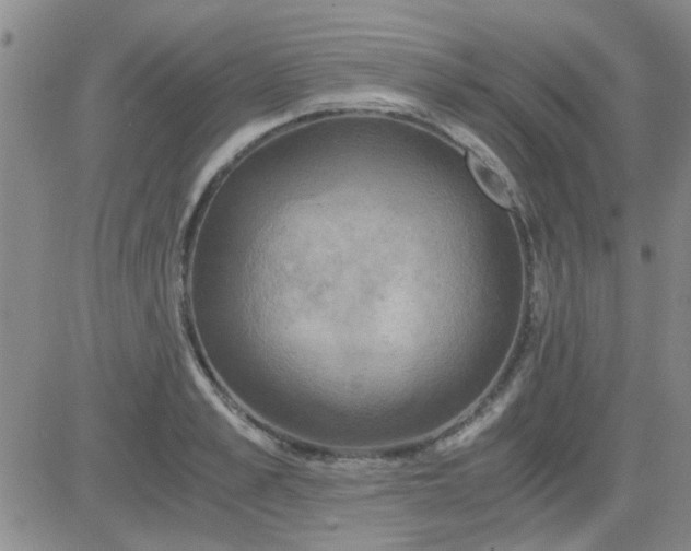 X0000084010989200703022026