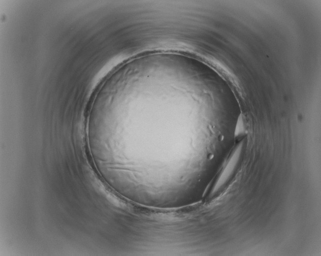 X0000084010990200703022026