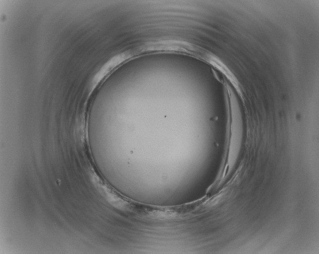 X0000084010994200703022026