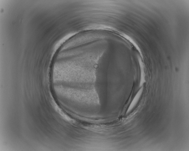 X0000084010995200703022026