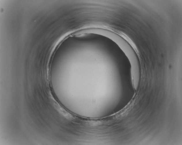 X0000084010996200703022026