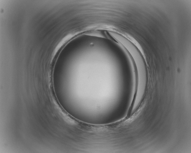 X0000084010997200703022026