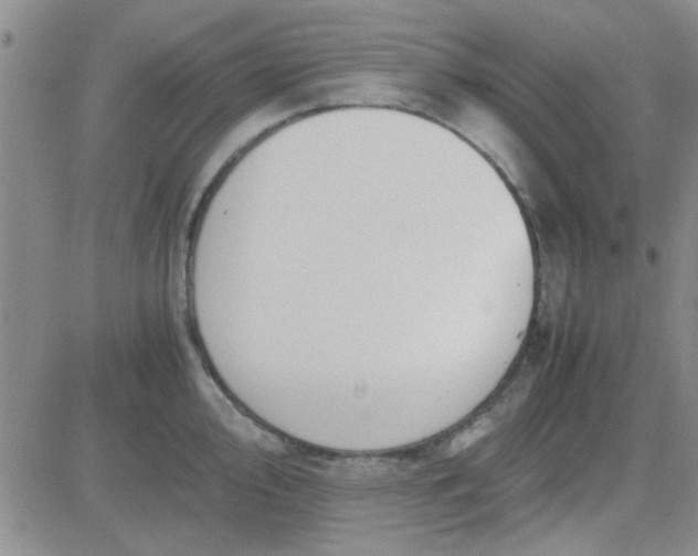 X0000084011000200703022026