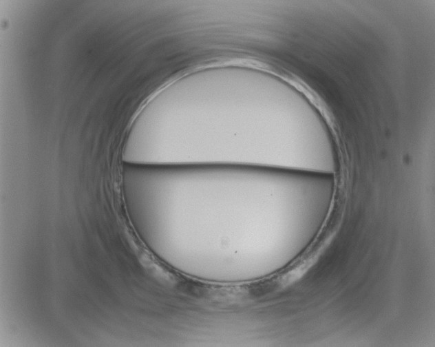 X0000084011001200703022026