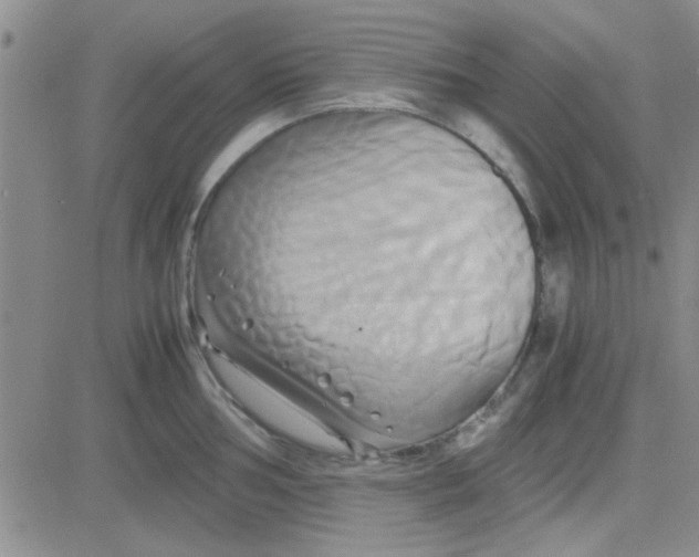 X0000084011002200703022026