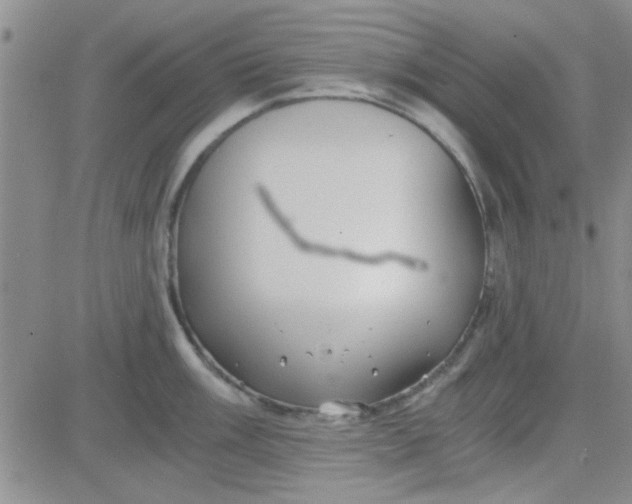 X0000084011003200703022026