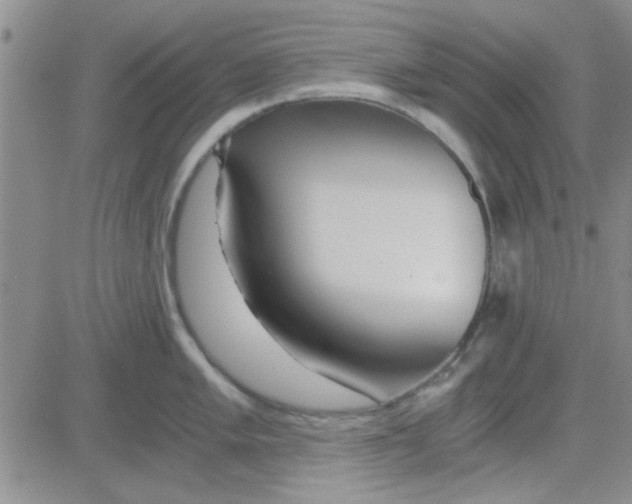 X0000084011005200703022026