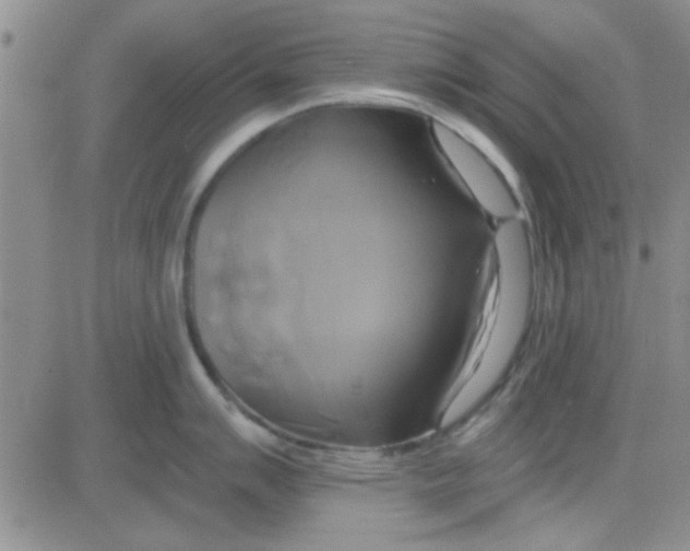 X0000084011007200703022026