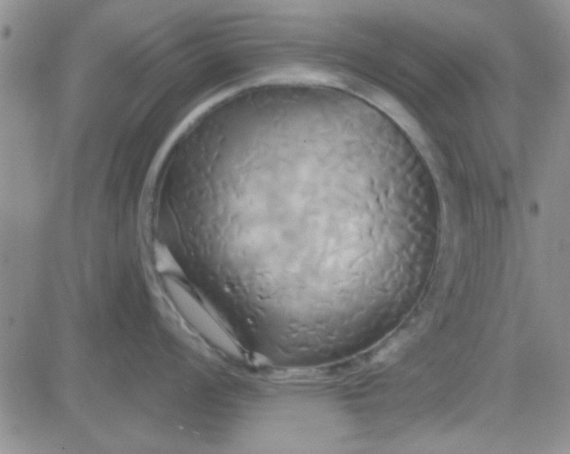 X0000084011008200703022026