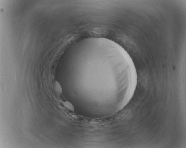 X0000084011009200703022025