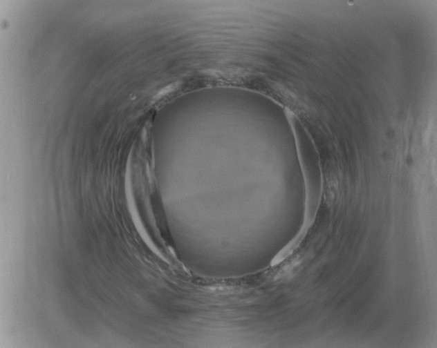 X0000084011010200703022025