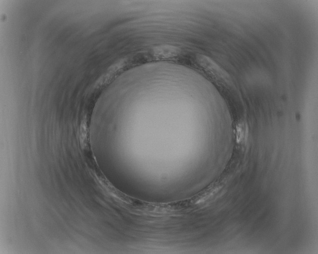 X0000084011011200703022025