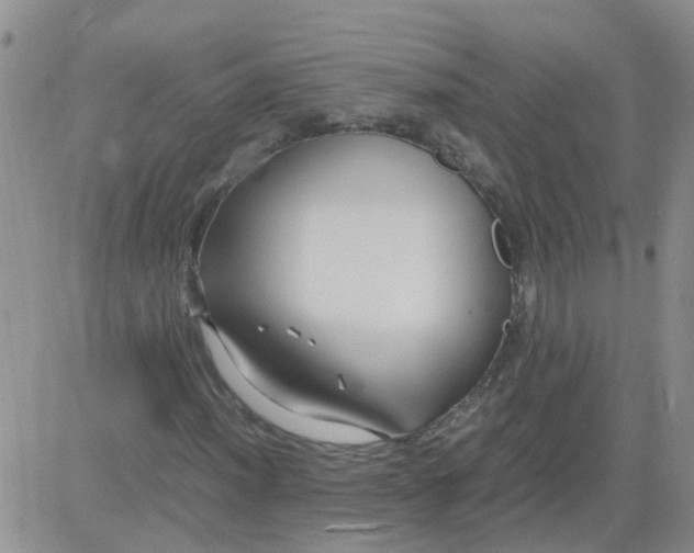 X0000084011012200703022025