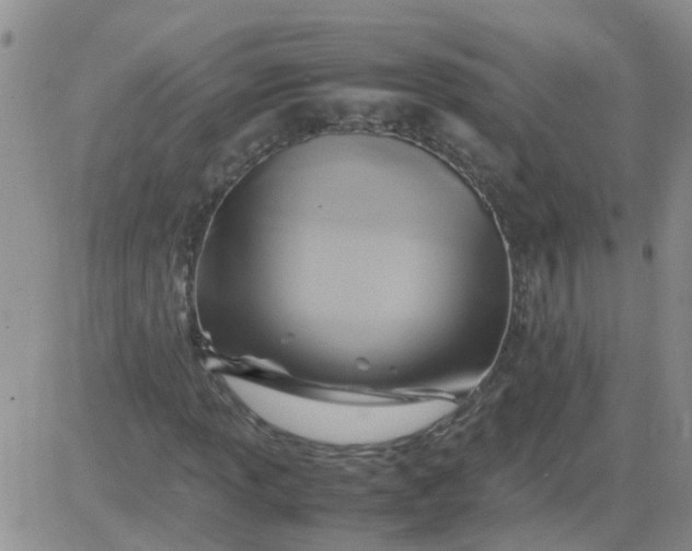 X0000084011013200703022025