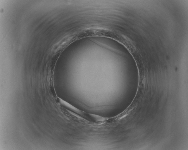 X0000084011014200703022025