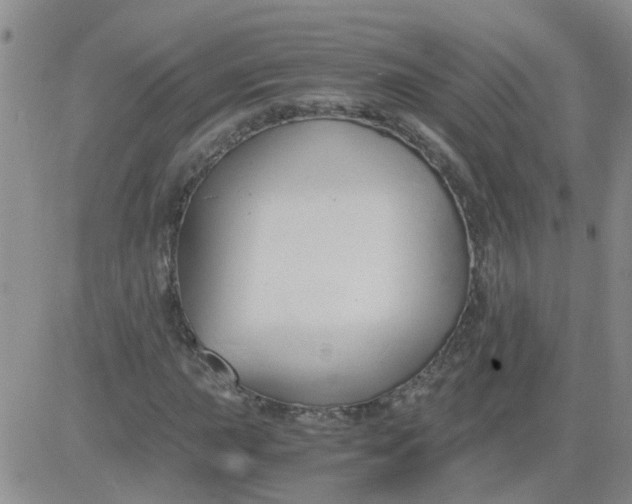 X0000084011015200703022025