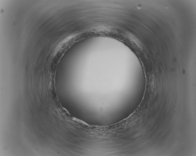 X0000084011016200703022025